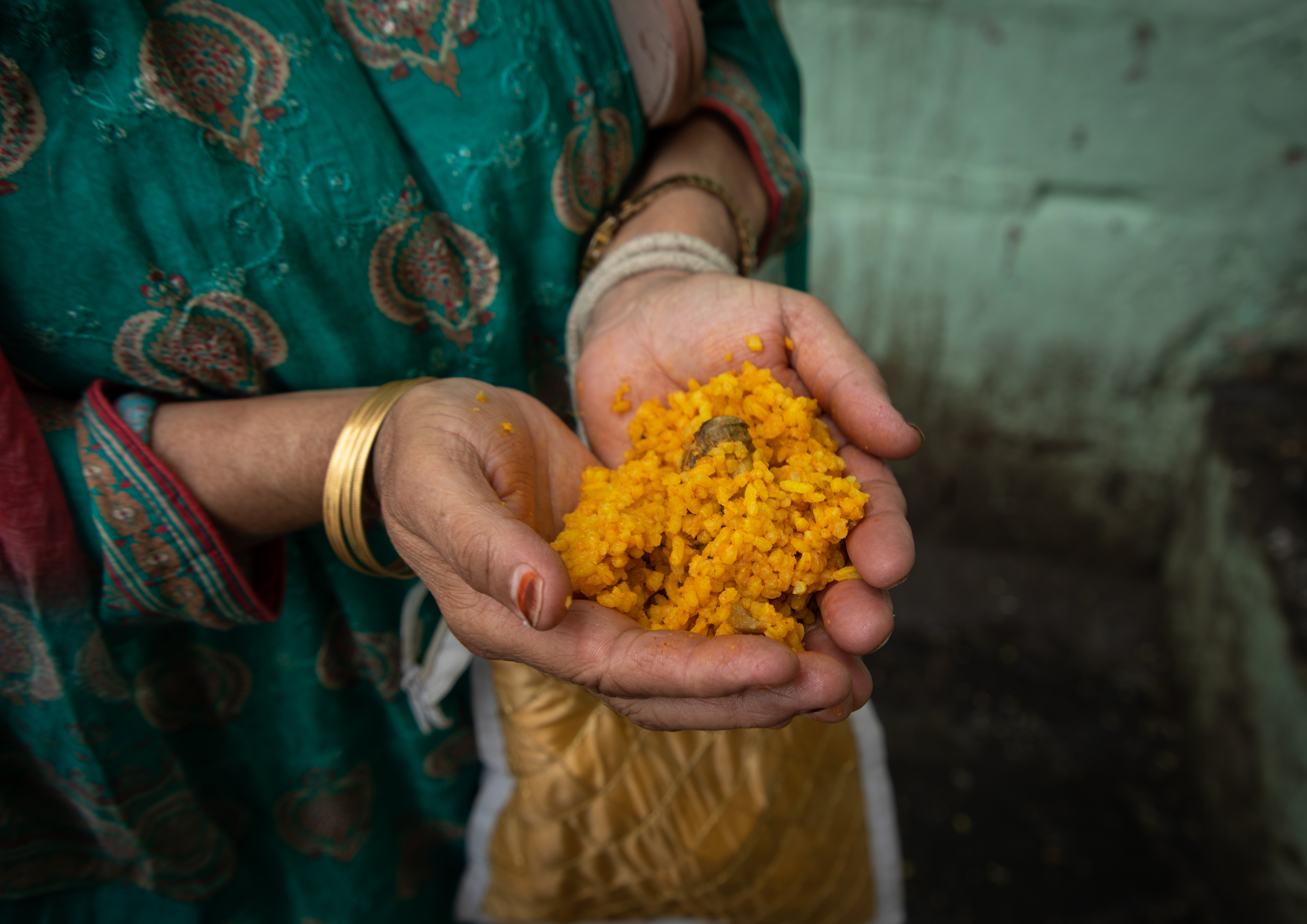 A Kashmiri woman's cupped hands holds a religious offering of saffron rice