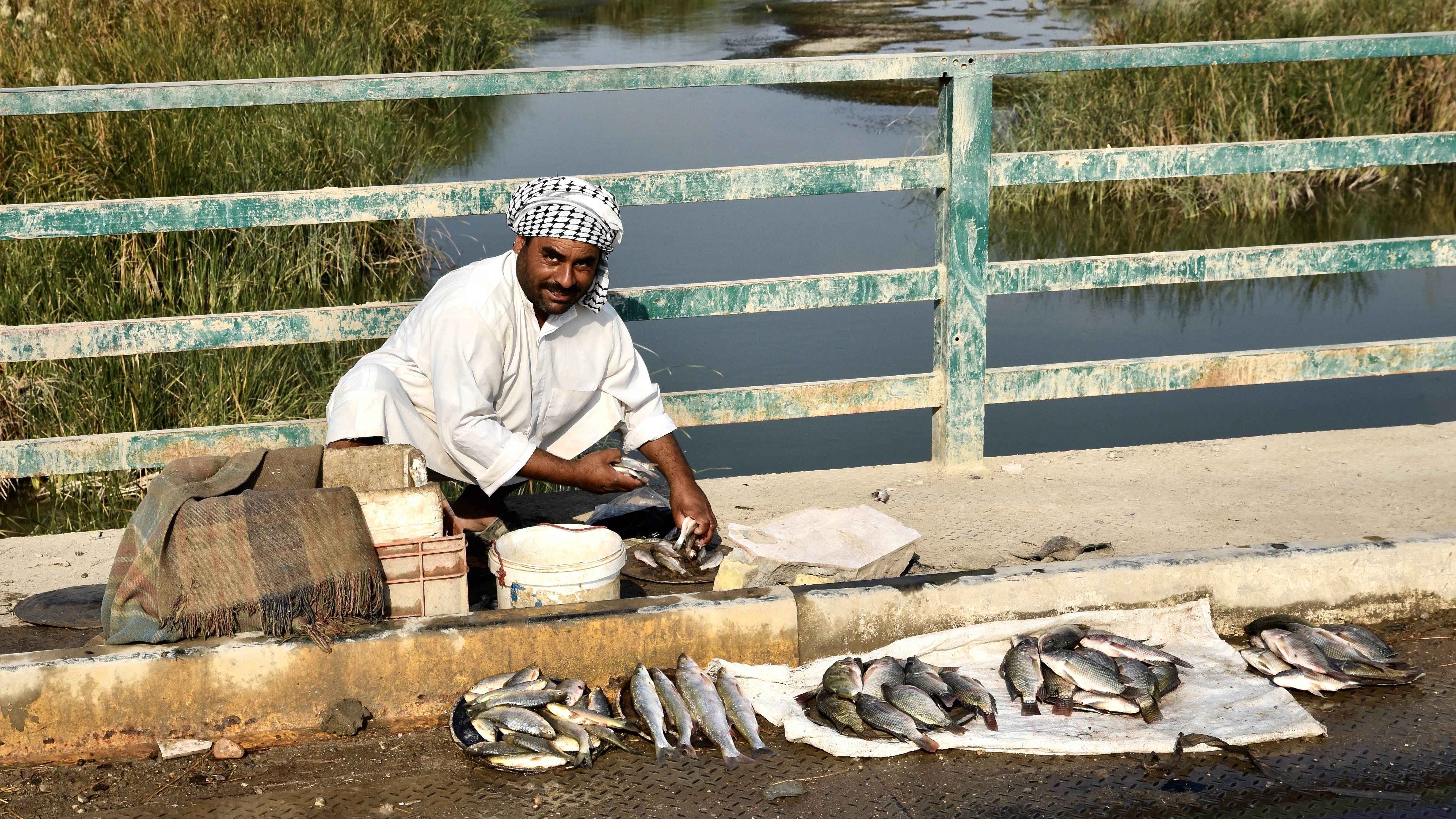A man displays his catch of fish at the side of the road in Iraq's marsh region