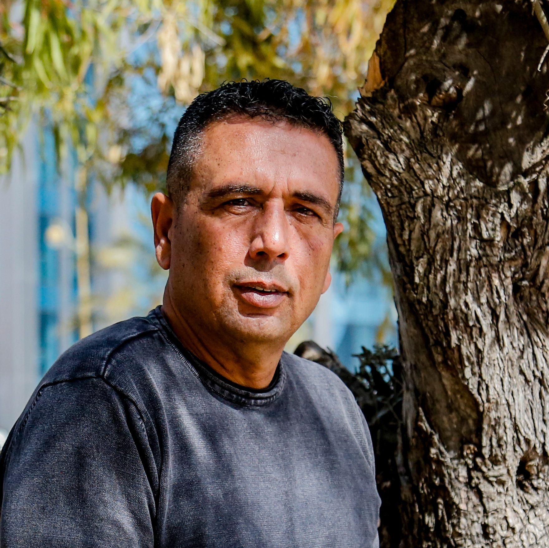 Abed Salama stands next to the olive treein al-Bireh