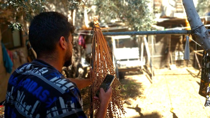 ولد يحاول الاتصال بخطيبته والاطمئنان عليها