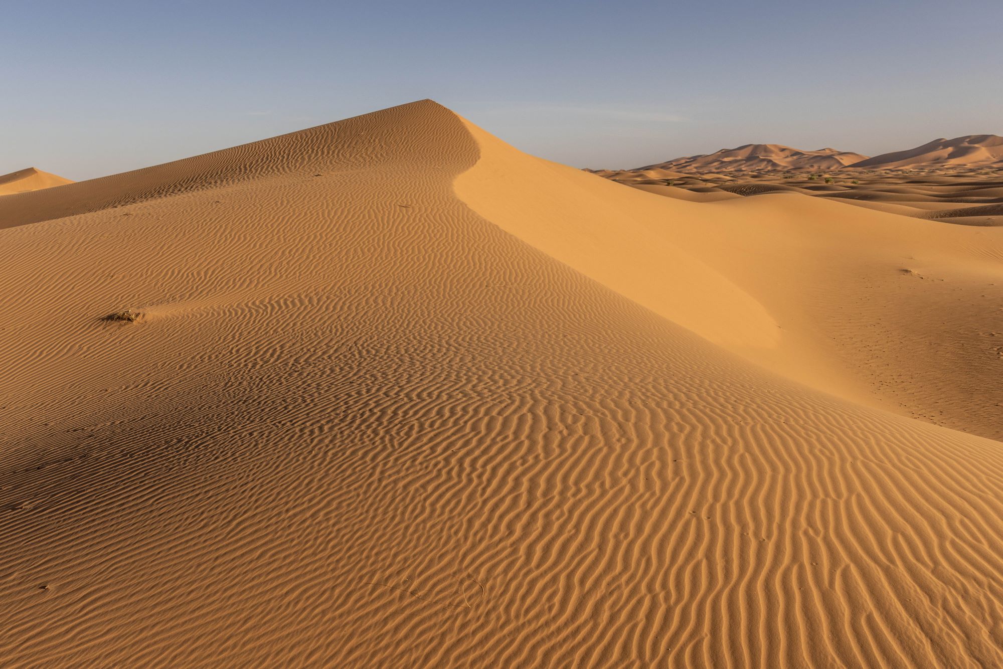 Eine gelbe Sanddüne vor blauem Himmel