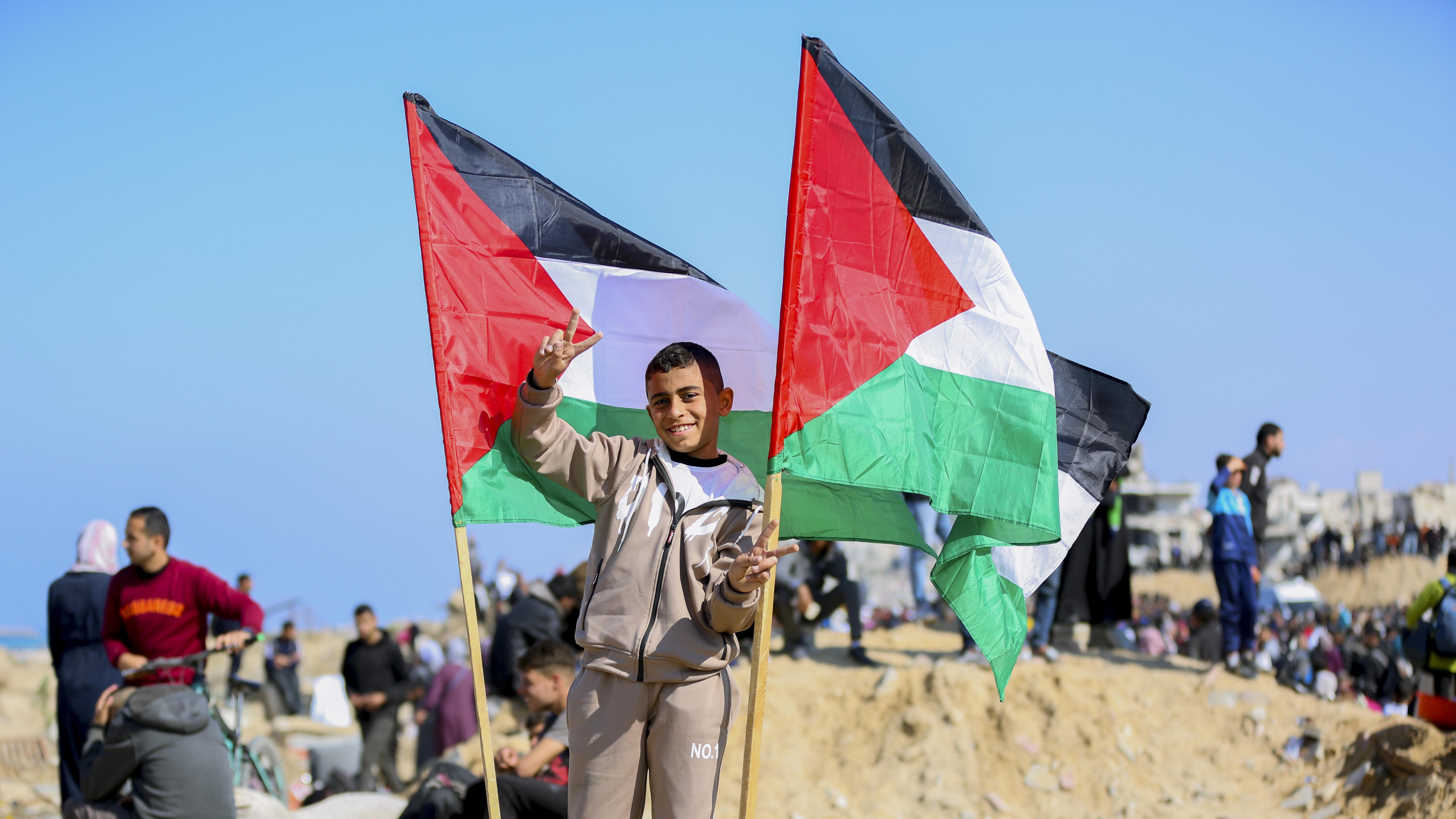 A young boy stands with two Palestinian flags either side of him. He holds up two fingers in a peace sign.V