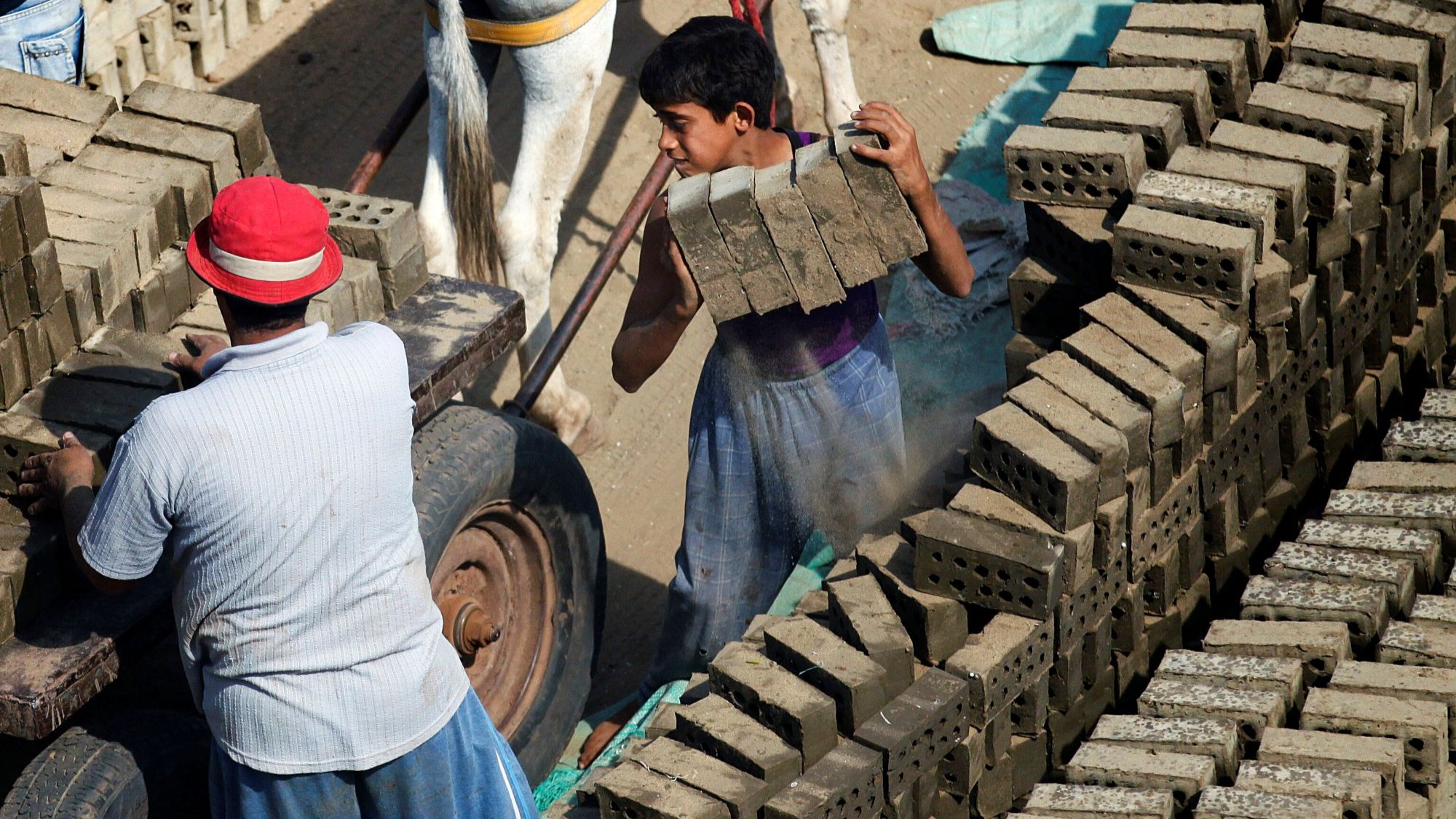 طفل وبجواره رجل يضعان قطع الطوب على عربة يجرها حمار.