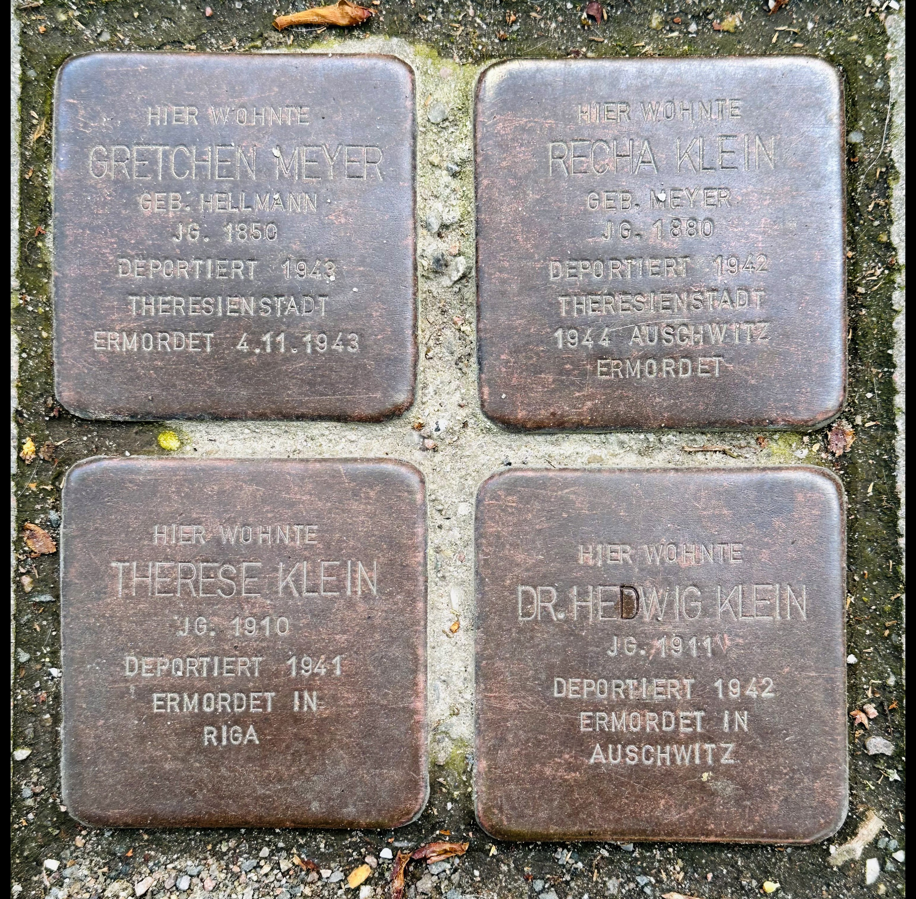 Cobble stones with engraved biographical details of the Klein family, who were killed in the Holocaust