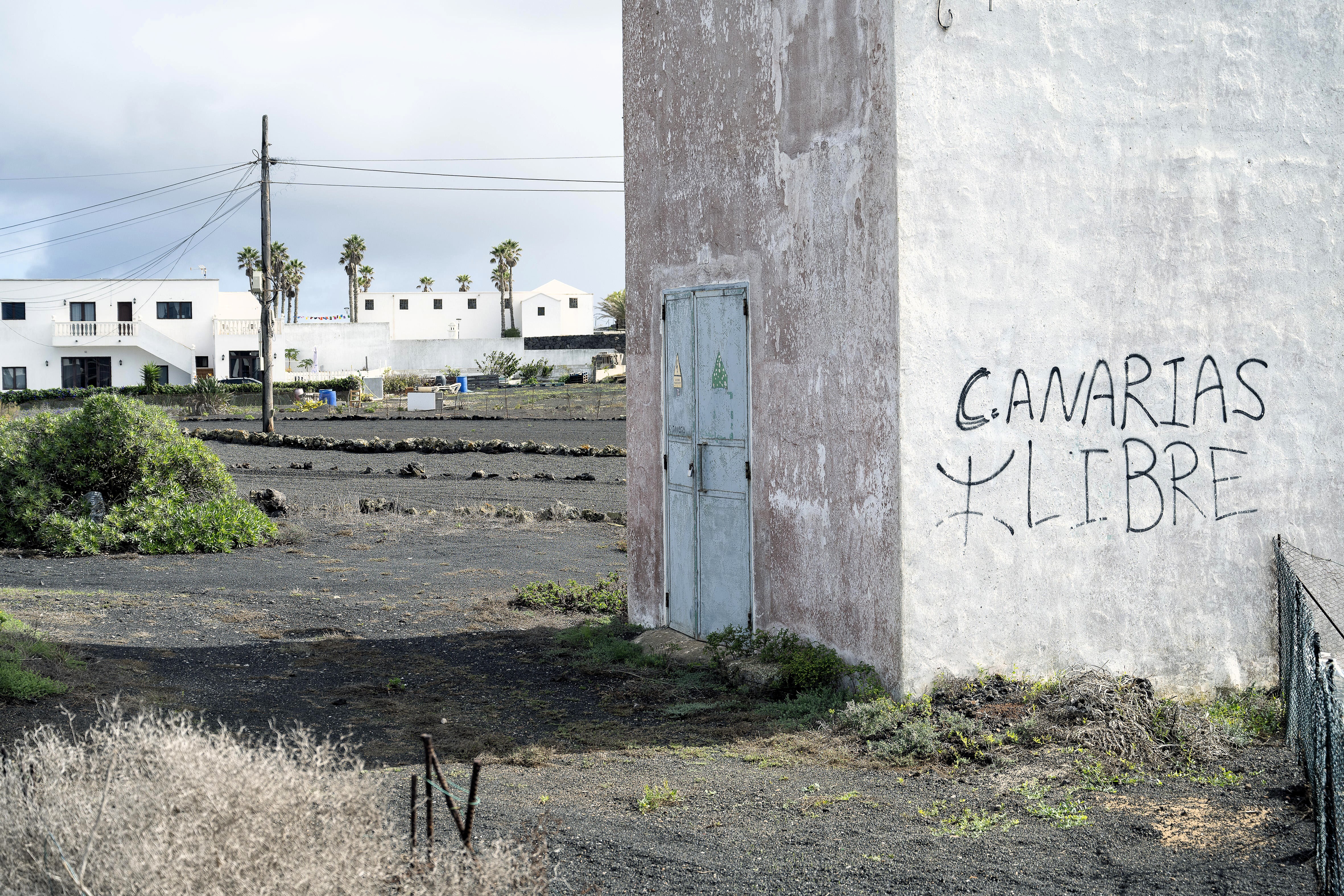 Graffiti reading CANARIAS LIBRE with an Amazigh symbol painted on a white wall near a door, above black volcanic soil with power lines, palm trees, and white houses in Guinate, Canary Islands, Spain, on November 17, 2025.