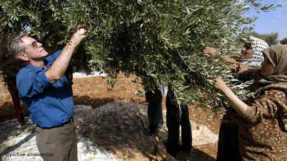 المؤلف الإسرائيلي عاموس عوز يشارك نساء فلسطينيات في قطف الزيتون بتاريخ 30 أكتوبر 2002 في قرية عقربة بالضفة الغربية. د ب أ