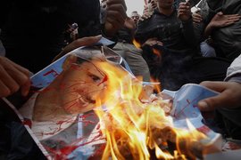Protestors burn a poster of Bashar Al-Assad (photo: dapd)