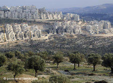 An Israeli settlement 