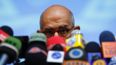 Mohamed ElBaradei (photo: AP)