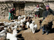 Uighur farmers (photo: dpa)