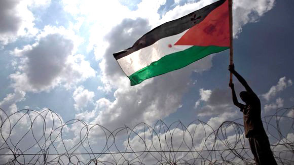 A young man waving the Palestinian national flag