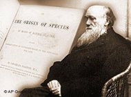 Symbolic picture Darwin (photo: AP)