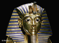  نفرتيتي في المتحف المصري، الصورة. ا.ب