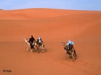 الصحراء ..المستقبل، الصورة: د.ب.ا