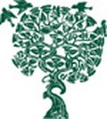 شعار المعهد الملكي للدراسات الدينية، الصورة: www.riifs.org