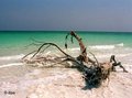 البحر الميت، الصورة: د ب أ