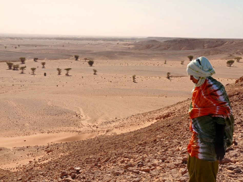 Morocco's wall of land mines