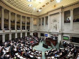 حظر البرقع، البرلمان البلجيكي
