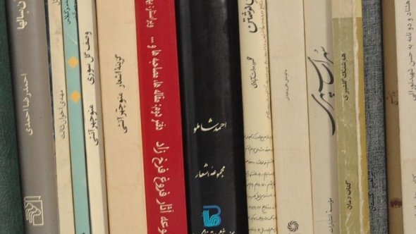 Books by Iranian writers (photo: DW)