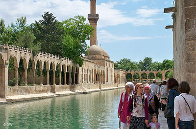 Fish pool with sacred carp outside a mosque in Urfa (photo: Aya Bach/DW)