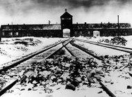 View along the railway line leading to Auschwitz concentration camp, photo taken at the end of January 1945 (photo: AP)