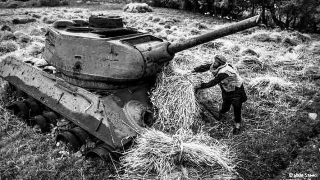 حصاد عند أنقاض دبابة Foto: Majid Saeedi