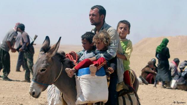 A Yazidi father with three children on a donkey (photo: Reuters)