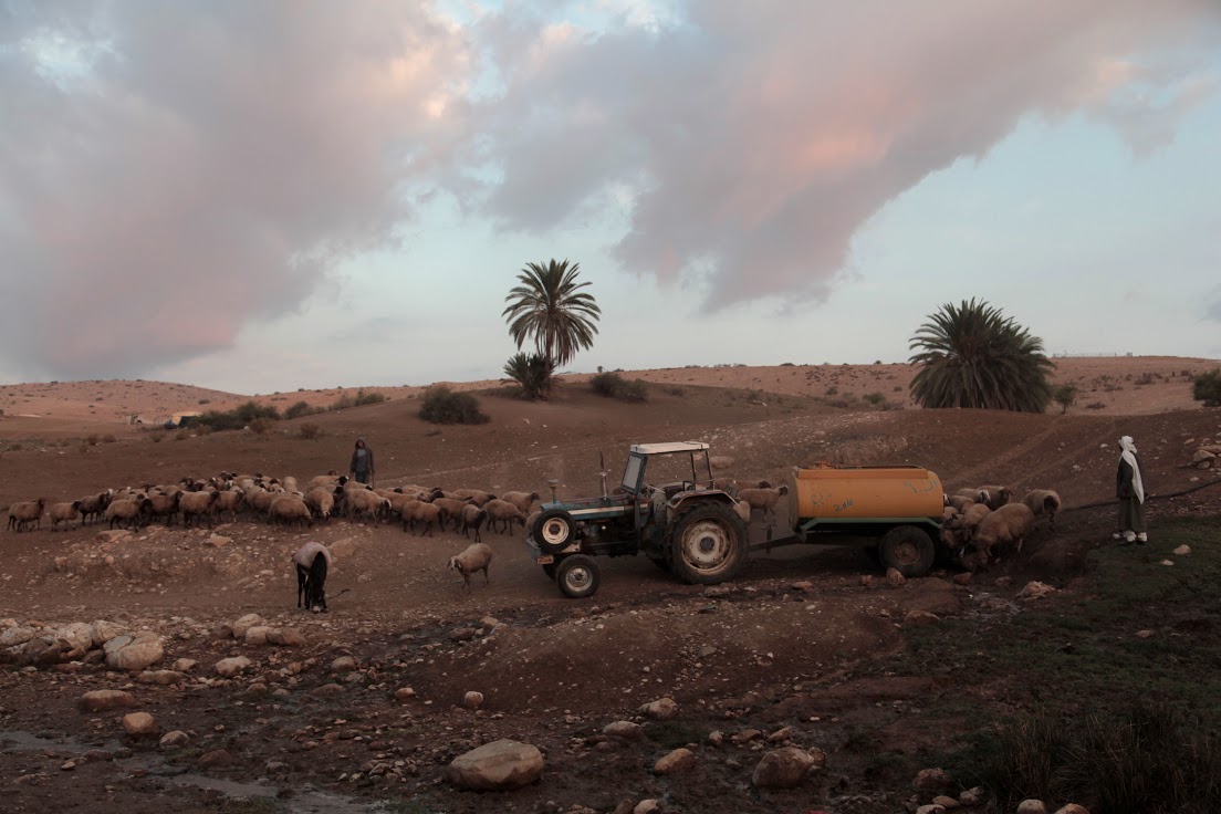 Palestinian Bedouins provide water for their sheep, Tubas, West Bank, October 2014 (photo: Mohammad Alhaj)