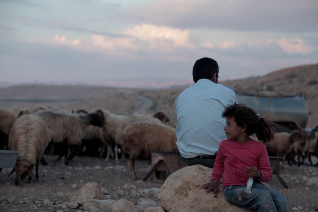 Itidal al Mohammad Alian and her father with their sheep, Al-Maleh, West Bank, October 2014 (photo: Mohammad Alhaj) 