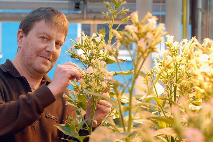 Prof Jorg Kudla, head of the tri-national plant research project (photo: WWU/Peter Grewer)