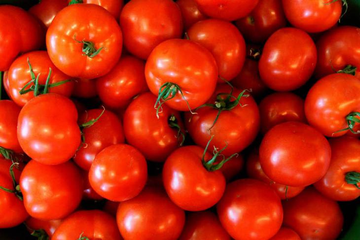 Tomatoes (photo: dpa)