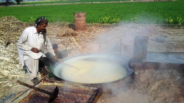 Man making sugar from sugar cane, Bahawalpur, Punjab, Pakistan (photo: Julis Koch)