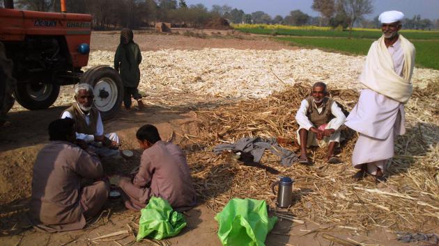 Taking a break from producing sugar, Bahawalpur, Punjab, Pakistan (photo: Julis Koch)