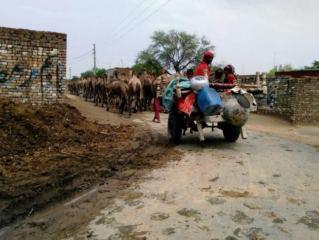 Women on a heavily laden cart on their way to market, Punjab, Pakistan (photo: Usman Mahar)