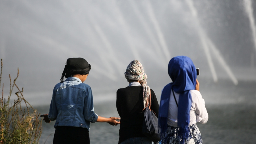 Muslim teenagers in a park in Hamburg (photo: picture-alliance/dpa/heimken)
