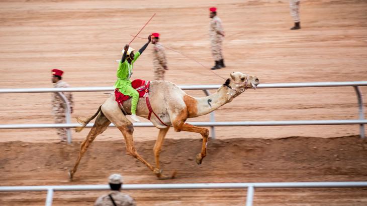 Winner of this year′s camel race at the Janadriyah Festival of Culture in Riyadh (photo: Michael Kappeler/dpa)
