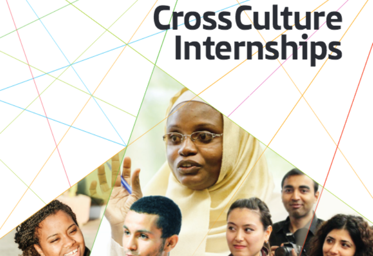 Cross culture internships (source: ifa)