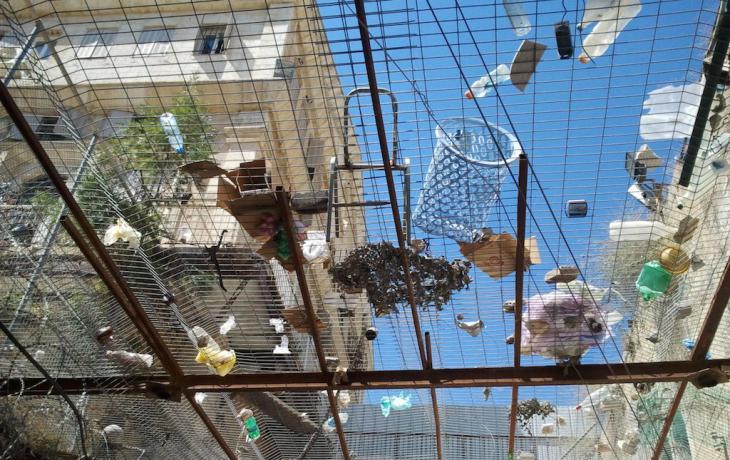 A roof of chicken wire on Al Shallalah Street in Hebron protects Muslims from rubbish thrown by militant settlers (photo: Susanne Kaiser)