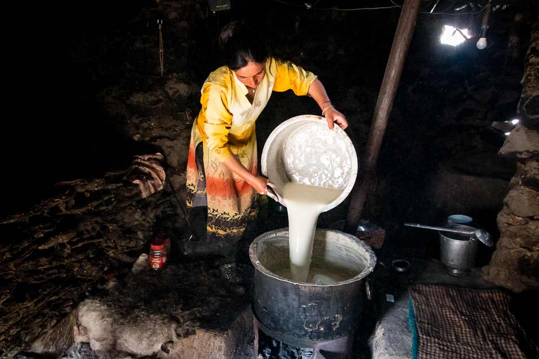 Inayat, a Wakhi shepherdess, fills a large cooking pot with fresh milk (photo: Camille Del Bos)