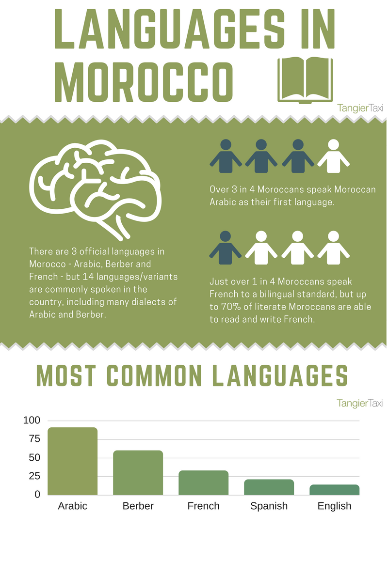 Languages in Morocco (graphic: Tangier Taxi)