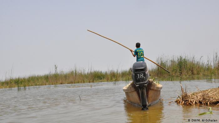 العراق: يوميات وتطلعات صيادي الطيور والسمك في هور الجبايش - من الصيد إلى تربية الجواميس والسياحة