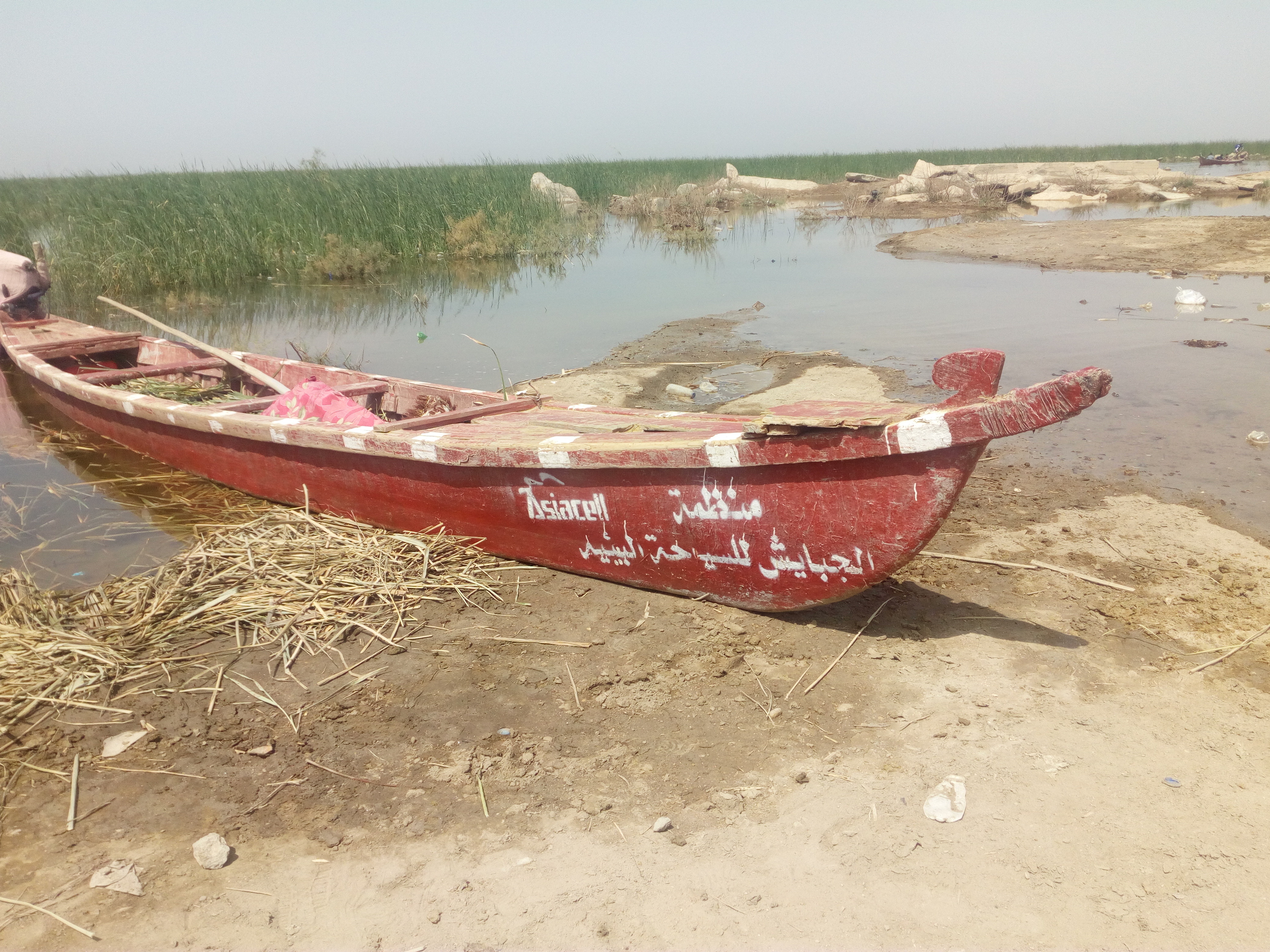 قارب فارغ في هور الجبايش العراقي. الصورة: ملهم الملائكة  