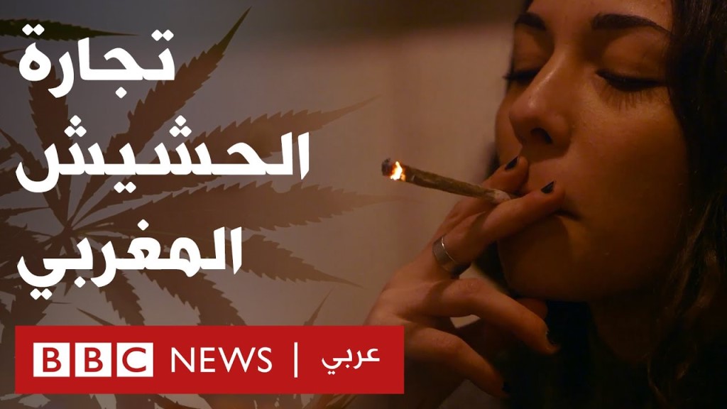 بر زراعة القنب المخدر مصدر رزق لنحو مليون شخص في المغرب، على الرغم من أن زراعته غير قانونية.