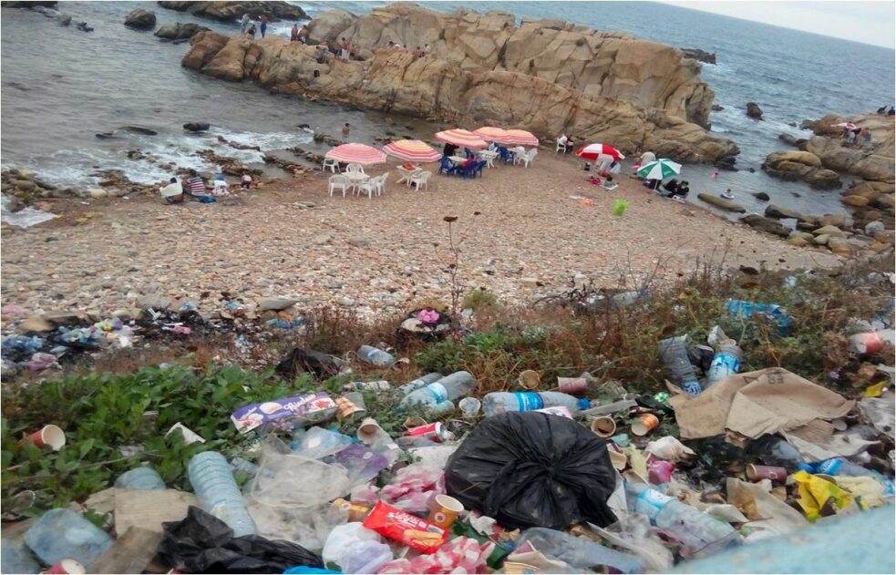 Cleaning a beach of rubbish at Jijel in Algeria (photo: Samia Balistrou)