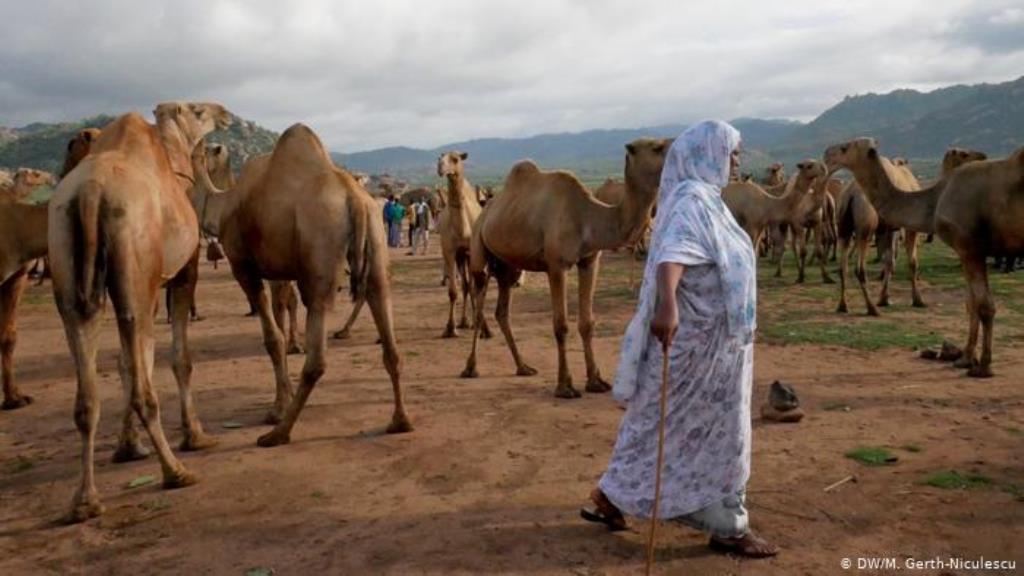 A woman walks past camels (photo: M. Gerth-Niculescu)