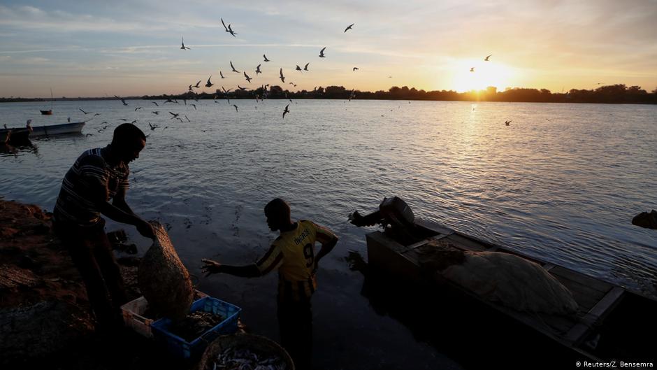 Fishermen wash their catch in the waters of the Nile river in Omdurman, Sudan, 21 February 2020 (photo: REUTERS/Zohra Bensemra)
