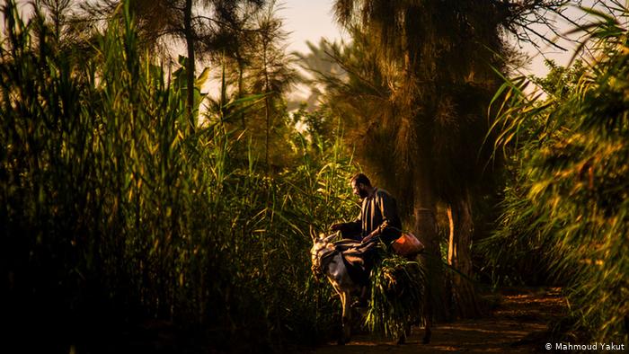 الحياة على ضفاف النيل - حكايات وتقاليد عريقة ممتدة من إثيوبيا إلى السودان وحتى مصر 