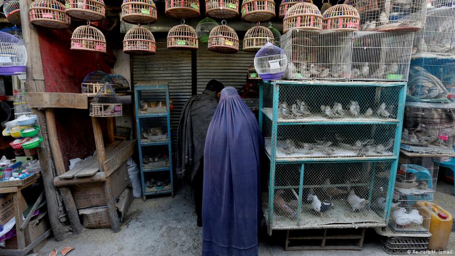 An Afghan woman clad in burqa stands in front of a shop at Ka Faroshi bird market in Kabul, Afghanistan (photo: REUTERS/Mohammad Ismail)