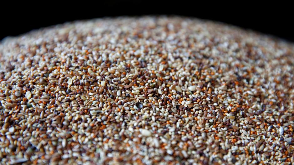 A grain mix is seen in a shop at Ka Faroshi bird market in Kabul, Afghanistan (photo: REUTERS/Mohammad Ismail)