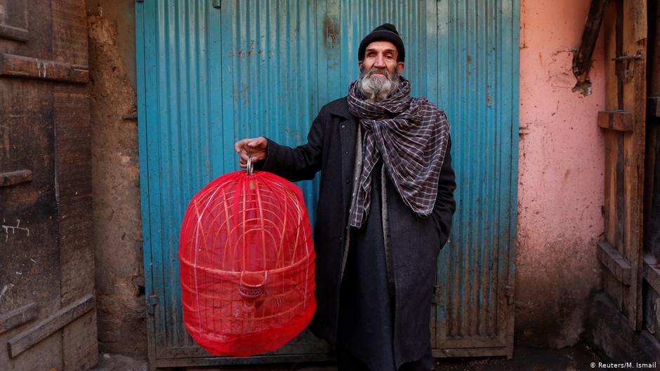 Fatih, 70, holds a cage of partridges as he poses for a picture at Ka Faroshi bird market in Kabul, Afghanistan (photo: REUTERS/Mohammad Ismail)